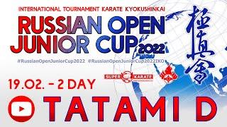 «Russian Open Junior Cup - 2022». ТАТАМИ C (2 день)