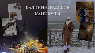 VLOG: январские праздники в Калининграде / приятные встречи / шоппинг / море