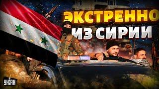 Экстренно из Сирии! Жест "доброй воли" от армии Асада. Повстанцы ВЗЯЛИ Хаму. Детали наступления