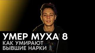 МУХА-8 RIP / РАК / ВИЧ / СПИД / КОРОНАВИРУС