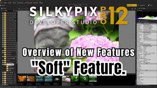 Introducing the NEW “Soft” Expression Method in SILKYPIX Pro12!