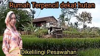 Perkampungan di Garut Jawa barat || Rumah terpencil dekat hutan, dikelilingi pesawahan.