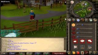 RuneScape Oldschool [RS07]- How to play RS07 [German]