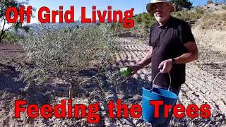 Off Grid Living - feeding the trees.