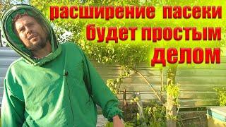 Это вам не расскажет не один опытный пчеловод. Быстрое расширение пасеки, отводками пчел