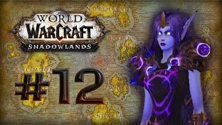 WoW - Shadowlands: Duo Leveling Shadow Priest & Demon Hunter. 57+