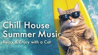 ️ Chill House Summer Music  Relax & Enjoy with a Cat 