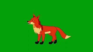 Fox Green Screen Animal Cartoon No Copyright