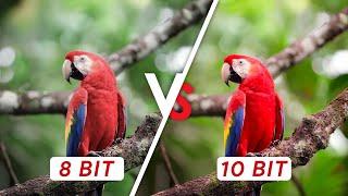 Truth About 8-bit vs 10-bit vs 12-bit: Is More Color Bit Depth Always Better?