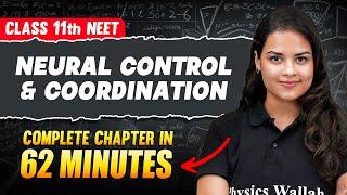 Neural Control And Coordination in 62 Minutes | FULL Chapter For NEET | PhysicsWallah