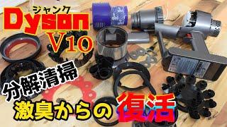 【ジャンク】daison v10　分解清掃で激臭からの復活か！？