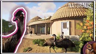 Emu Habitat | Planet Zoo Speedbuild | Naturalis Ep. 43