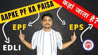 Employer & Employee PF Contribution | आपके PF का पैसा कहां जाता है?