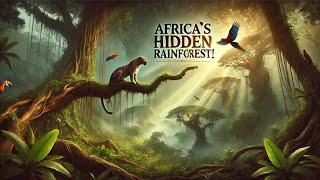 Africa’s Secret Rainforest: Untold Stories of the Wild | wildlife Documentary in hindi