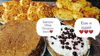 231с.Мамулечка на ПП.Готовлю,сырники,ватрушки и "лепешку" из кабачка. Рецепты и КБЖУ. 03.09.2024 г.