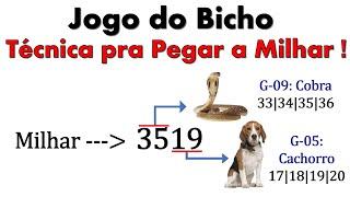 Jogo do Bicho - Técnica pra Pegar a Milhar !