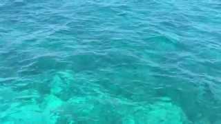 Relaxing Turquoise Water Screensaver - 30 minute loop