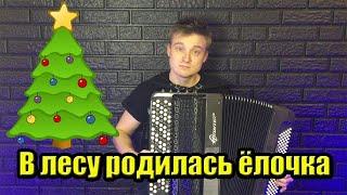 ️В ЛЕСУ РОДИЛАСЬ ЕЛОЧКА️