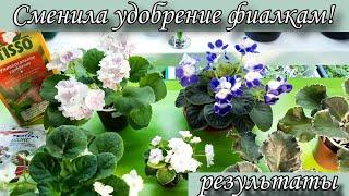 Для лучшего роста и цветения фиалок сменила удобрение! Показываю результаты на своих розетках)