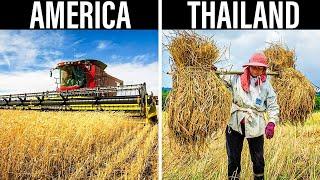 Different Types Of Farming Can Vary From Country To Country... Here's How!