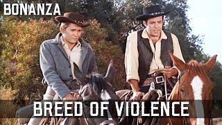 Bonanza - Breed of Violence | Episode 41 | Full Western Series | Cowboy | English