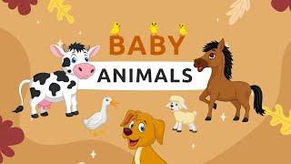 HAYVONLARNING BOLALARI (BABY ANIMALS IN ENGLISH)