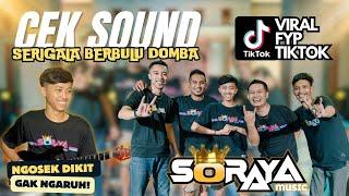 ‼️CEK SOUND DELAY VIRAL TIKTOK‼️- SERIGALA BERBULU DOMBA | ( Official Live Video Soraya Music )