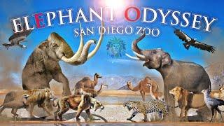 Zoo Tours: The Elephant Odyssey at the San Diego Zoo (2009)