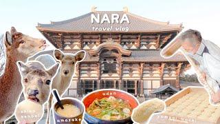  NARA travel vlog | 14 days in Japan | nara itinerary day 9 