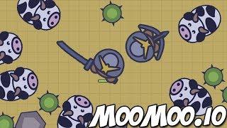 MooMoo.io Samurai, Cows, Deserts & New Weapons (MooMoo.io New Update, Cows, Bulls & Desert Biome