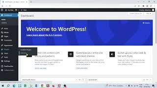 How to update WordPress Plugin manually?