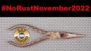 Rugol Needle Nose Pliers Restoration - #NoRustNovember2022