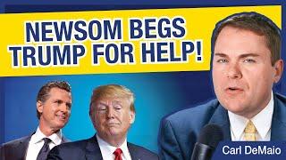 Newsom Begs Trump for Help!