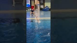 Diving Highlights May 23rd to 30th 2024