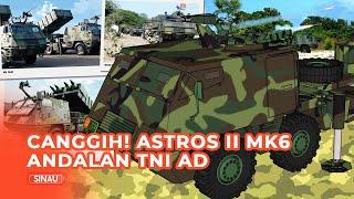 Profil Peluncur Roket Astros II MK6 Andalan TNI AD yang Bikin Jokowi Takjub