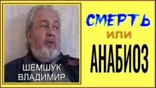 Смерть или анабиоз.  Владимир Шемшук