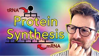 How Your Body Turns DNA into Protein | Protein Synthesis