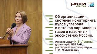 Организация системы мониторинга пулов углерода и потоков парниковых газов в наземных экосистемах.