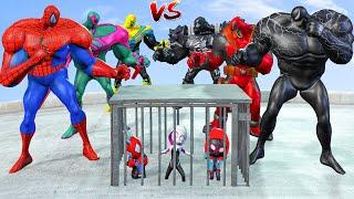 Spiderman Superheroes Team SpiderMan Battle Venom, Deapool Rescue 3 SpiderMan | Belee Heroes