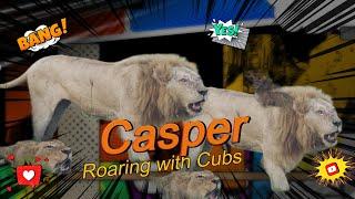 Amazing video of Casper the White Lion of Kruger, Roaring with CUBS!!