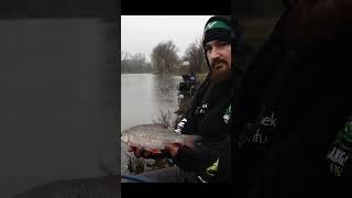 Taktyka na medalowe płocie #roach #haldorado #fishing #fish #angler #bream #winter