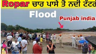 DANGEROUS RIVER BREAK | Village flood  Ropar Punjab INDIA  Dangerous high tide in River