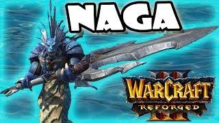 Warcraft 3 Reforged Naga HD Models