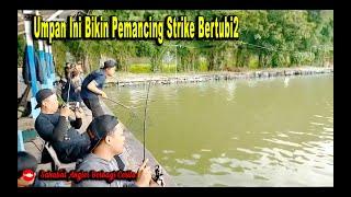 SABC#19 Jedud Wild Fishing NETER GACOR 1 KWINTAL 33KG GA BERHENTI UMPAN NI BIKIN PEMANCING KERASUKAN