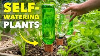 This Ancient Watering Technique will Save Your Plants