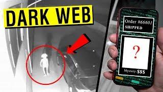 WE BOUGHT A MYSTERY PET FROM THE DARK WEB AND IT ATTACKED US!!