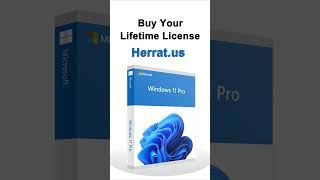 Buy Microsoft Windows 11 Professional Lifetime license key