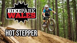 HOT STEPPER - BIKE PARK WALES