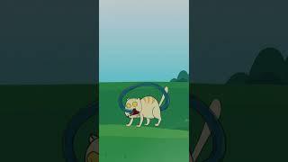 Caesar the Cat  Vs. Rectal Tube #catlover #animation #game