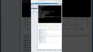 NSA LAB VMWARE ESXI